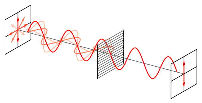 polarizer.png